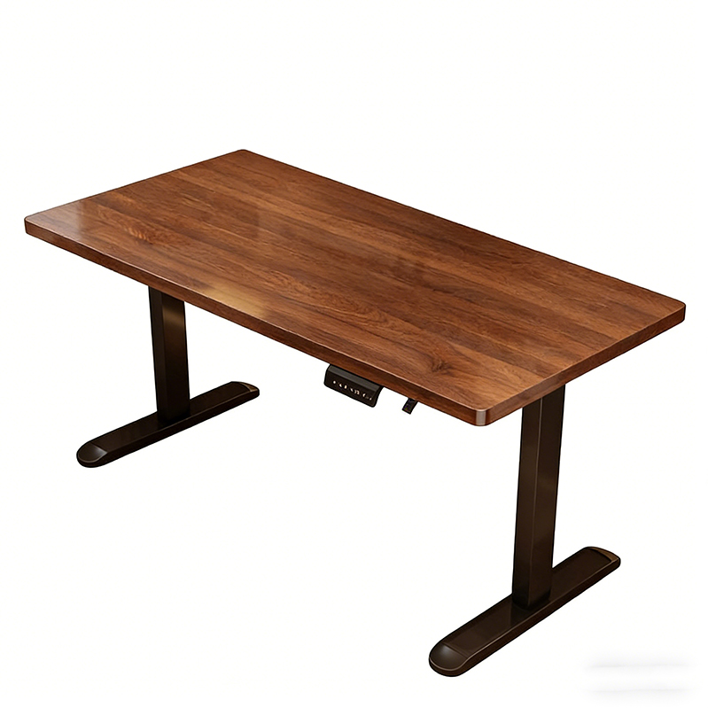 Modern Iron Dual Motor Electri - огляд і ціна Desk Setup Home Office
