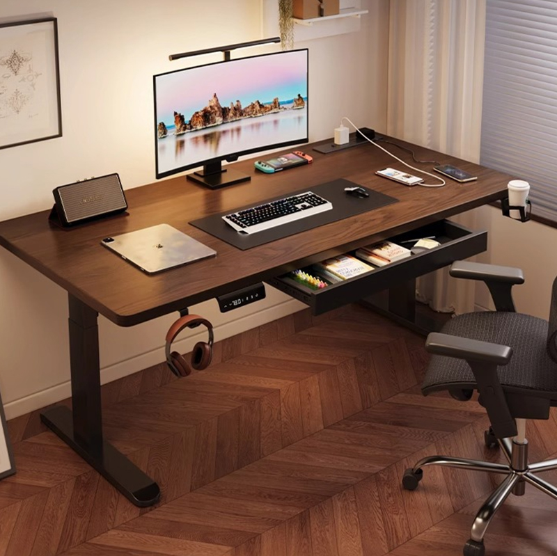 Modern Iron Dual Motor Electri - огляд і ціна Desk Setup Home Office