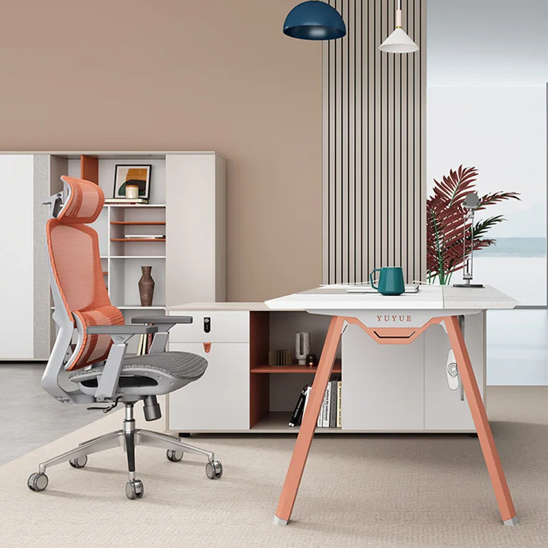 Writing Reception White Desk S - огляд і ціна Desk Setup Kids